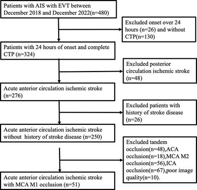 Patchy profile sign in RAPID software: a specific marker for intracranial atherosclerotic stenosis in acute ischemic stroke